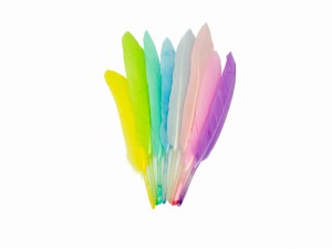 Piórka ozdobne pastelowe lotki 15 cm 40 szt., Aliga