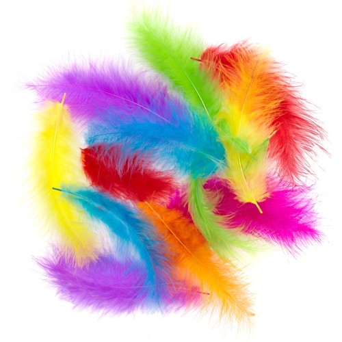 product-14398.jpg