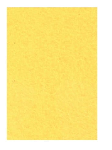 336.jpg