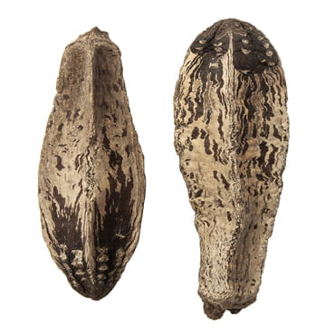 product-14621.jpg