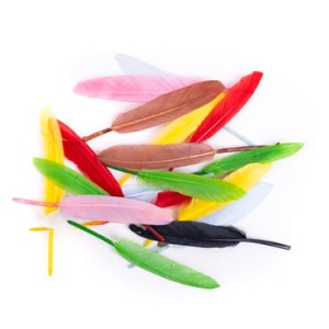 Pióra dekoracyjne gęsie kolorowe 13 cm 20 sztuk, Dp Craft