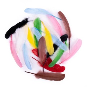 Pióra dekoracyjne gęsie kolorowe 16 cm 20 sztuk, Dp Craft