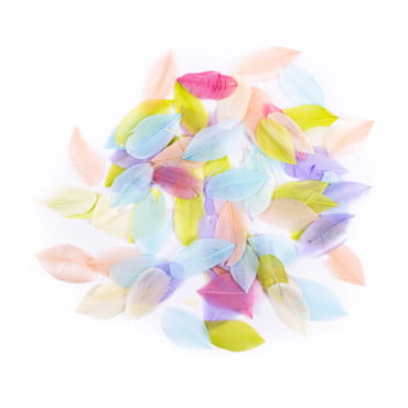 product-14095.jpg