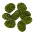 product-13490.jpg