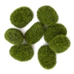 product-13490.jpg