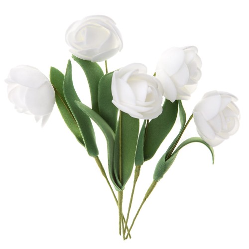 product-14505.jpg