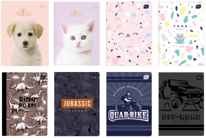 Zeszyt A5 32 kartki kratka kolorowa MIX OKŁADEK, Interdruk