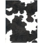1e25db8bcdeed4802b0c1bc098d8639f