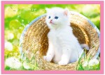 2f180a7192e7e7c767436194d9a55c24
