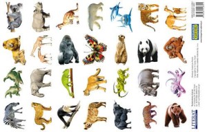 Naklejki Zwierzęta Świata 28 sztuk arkusz 15x21 cm, Literat