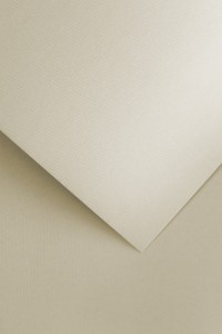 Karton ozdobny A4 Floryda beżowy 250g 20ark. Galeria Papieru