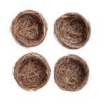product-10943.jpg