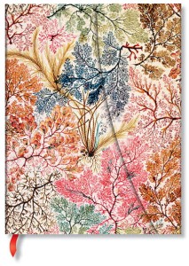 Notes Paperblanks Ultra w linie William Kilburn Anemone