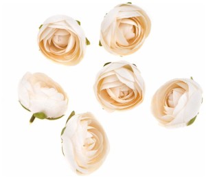 Główki kwiatowe Piwonia ecru 5 cm 6 sztuk, DP Craft