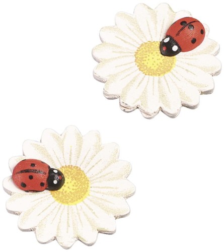 81bff5f0c8fdbb89fa6b1c6b1da3b4ac