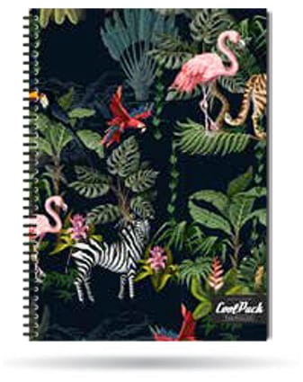 deb94b08b9981b36c8ff73a8af7d19c1