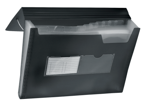 teczka-harmonijkowa-a4-z-gumka-narozna-bt621.10_f.png