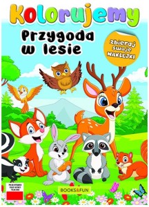Książka Kolorujemy. Przygoda w lesie, Books&Fun