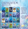 ekosystem-2-rafa-koralowa (4).jpg