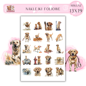 Naklejki Foliowe Pies Labrador 13x19, Madam