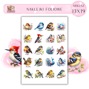 Naklejki Foliowe Ptaki 13x19, MaDam