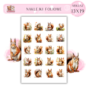 Naklejki Foliowe Wiewiórka 13x19, Madam