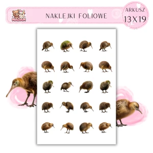 Naklejki Foliowe Ptak Kiwi 13x19, Madam