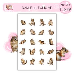 Naklejki Foliowe Wiewiórka Wschodnia 13x19, Madam