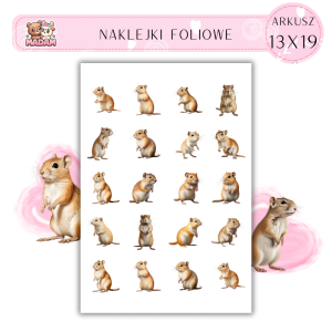 Naklejki Foliowe Myszoskoczek 13x19, Madam