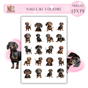Naklejki Foliowe Pies Jamnik 13x19, MaDam