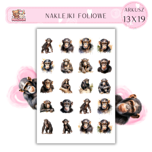 Naklejki Foliowe Małpa Szympans 13x19, MaDam