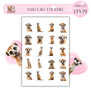 Naklejki Foliowe Surykatka 13x19, MaDam
