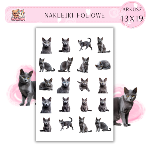 Naklejki Foliowe Kot 13x19, MaDam