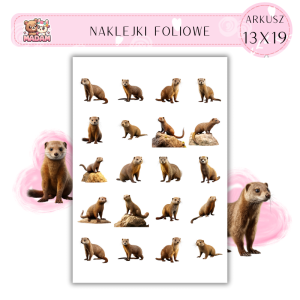 Naklejki Foliowe Wydra 13x19, MaDam