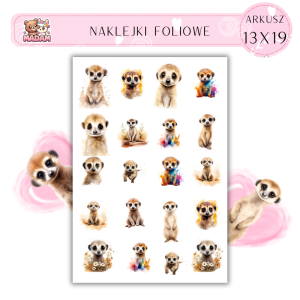 Naklejki Foliowe Surykatka 13x19, MaDam