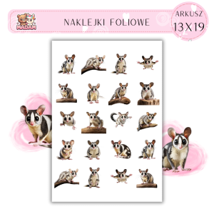 Naklejki Foliowe Lotopałanka 13x19, MaDam