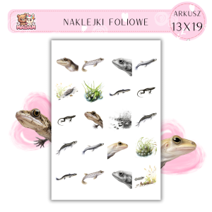 Naklejki Foliowe Zwierzęta Wodne 13x19, MaDam