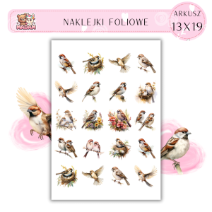 Naklejki Foliowe Ptaki 13x19, MaDam