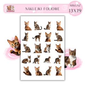 Naklejki Foliowe Kot 13x19, MaDam