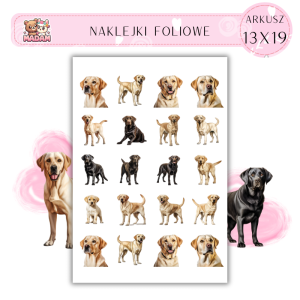 Naklejki Foliowe Pies Labrador 13x19, MaDam
