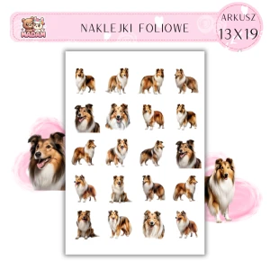 Naklejki Foliowe Pies Owczarek Szetlandzki 13x19, MaDam