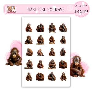 Naklejki Foliowe Małpa Orangutan 13x19, MaDam