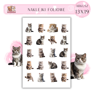 Naklejki Foliowe Kot 13x19, MaDam