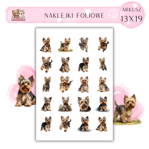 Naklejki Foliowe Pies York 13x19, MaDam
