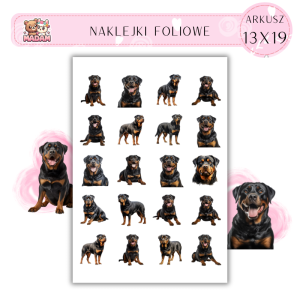 Naklejki Foliowe Pies Rottweiler 13x19, MaDam
