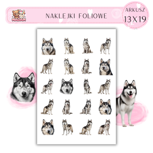 Naklejki Foliowe Husky 13x19, MaDam