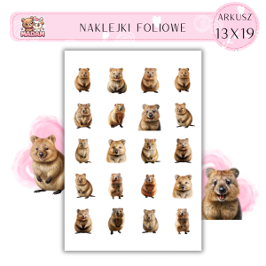 Naklejki Foliowe Kuoka 13x19, MaDam