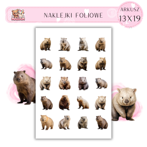 Naklejki Foliowe Wombat 13x19, MaDam