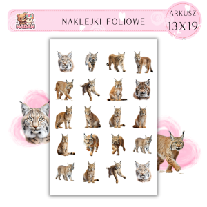 Naklejki Foliowe Ryś 13x19, MaDam