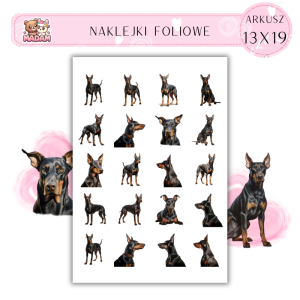 Naklejki Foliowe Pies Doberman 13x19, MaDam